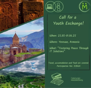 Fostering Peace Through IT Solutions